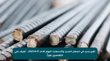 تغير جديد في أسعار الحديد والأسمنت اليوم الأحد 17-8-2025.. تعرف على التفاصيل فوراً